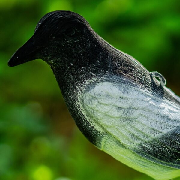 Flocked Shooting Hunting Magpie Decoy With Stake